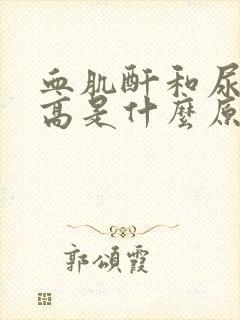 血肌酐和尿素氮高是什么原因