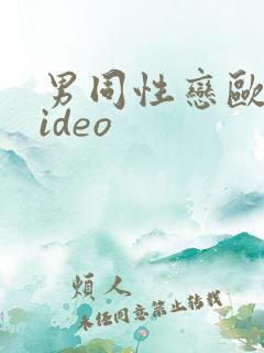 男同性恋欧美video