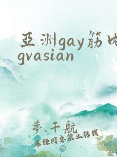 亚洲gay筋肉gvasian