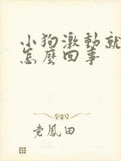 小狗激动就滴尿怎么回事