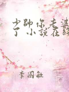 少帅你老婆又跑了 小说在线阅读