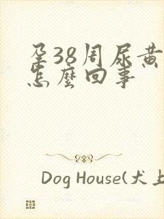 孕38周尿黄是怎么回事