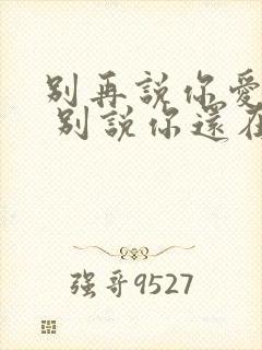 别再说你爱着我 别说你还在乎我是什么歌