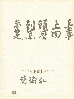 梦到头上长狮子是怎么回事周公解梦