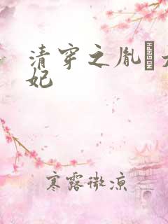 清穿之胤礽太子妃