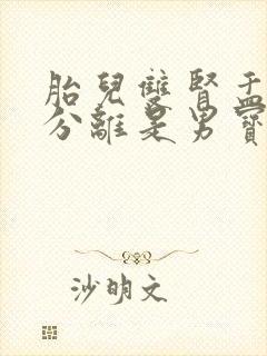 胎儿双肾盂未见分离是男宝还是女宝