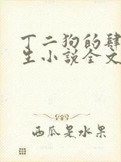 丁二狗的肆意人生小说全文免费