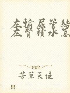 左输尿管结石伴左肾积水怎么治疗