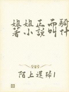 姐姐正面骑我原著小说叫什么