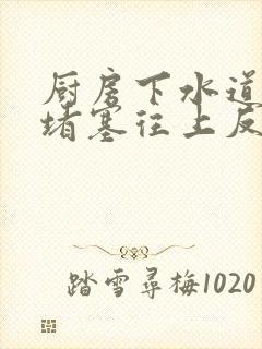 厨房下水道弯管堵塞往上反水