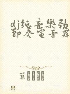 dj纯音乐劲爆节奏电音舞曲