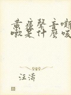 黄痰声音嘶哑咳嗽是什么咳嗽