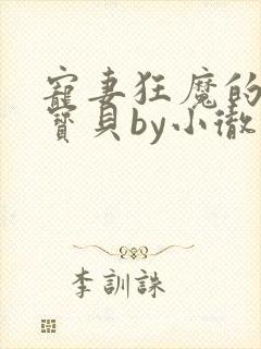 宠妻狂魔的黏人宝贝by小彻