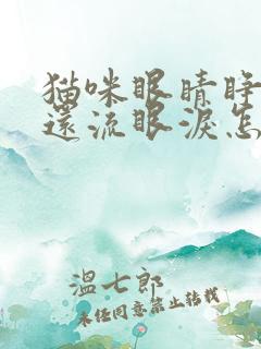 猫咪眼睛睁不开还流眼泪怎么回事