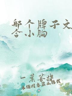 哪个牌子文胸适合小胸