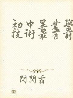 初中毕业学什么技术最有前景