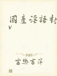 国产淫语对白av