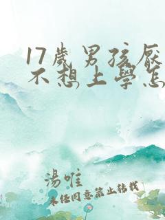 17岁男孩厌学不想上学怎么办