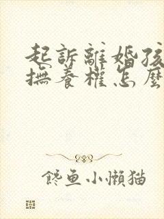 起诉离婚孩子的抚养权怎么判定