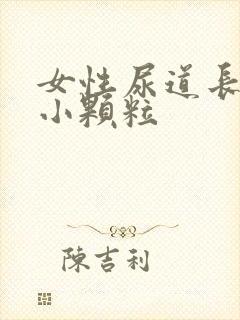 女性尿道长很多小颗粒