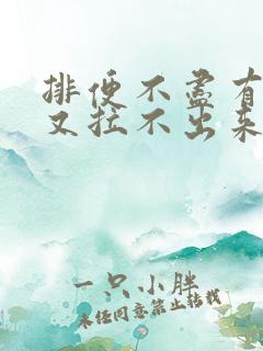 排便不尽有便意又拉不出来