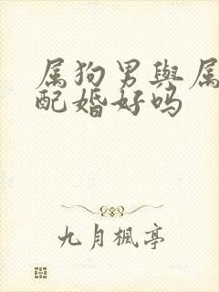 属狗男与属牛女配婚好吗