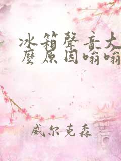 冰箱声音大是什么原因嗡嗡