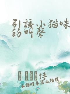 引诱小猫咪过来的叫声