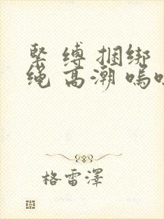 紧 缚 捆绑 绳 高潮 呜呜