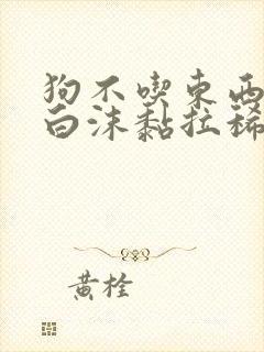 狗不吃东西呕吐白沫黏拉稀