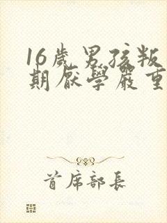 16岁男孩叛逆期厌学严重怎么办