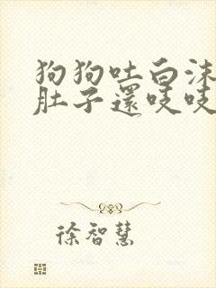 狗狗吐白沫黏液肚子还吱吱响不拉稀怎么治疗