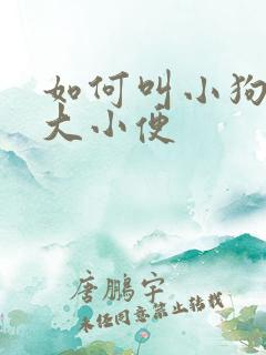 如何叫小狗定点大小便