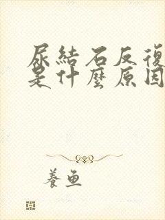 尿结石反复发作是什么原因