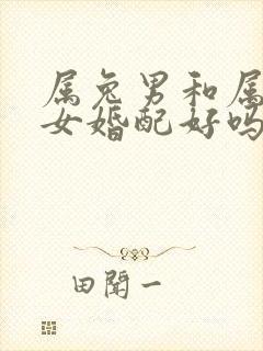 属兔男和属牛的女婚配好吗