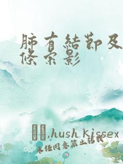 肺有结节及双肺条索影