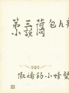 第三荷包h辣文小说网