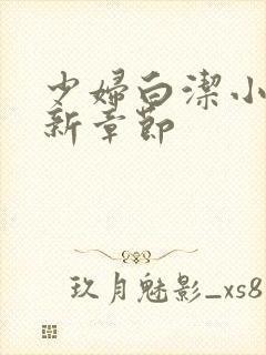 少妇白洁小说最新章节