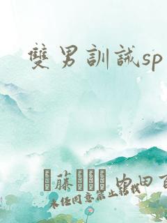 双男训诫sp