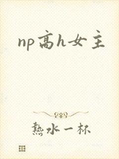 np高h女主