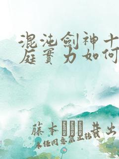 混沌剑神十二天庭实力如何