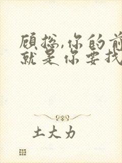 顾总,你的前妻就是你要找的人短剧免费观看