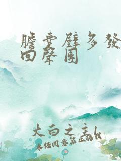 胆囊壁多发稍高回声团