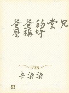 爸爸的堂兄弟怎么称呼