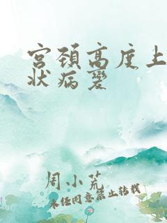 宫颈高度上皮鳞状病变