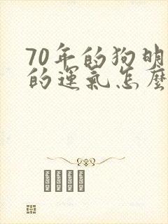 70年的狗明年的运气怎么样