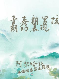 青春期男孩叛逆期的表现