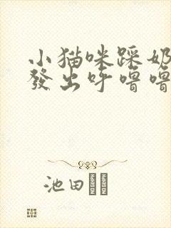 小猫咪踩奶并且发出呼噜噜的声音