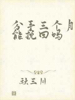 分手三个月了还能挽回吗