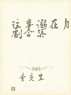 往事溺在月光短剧合集